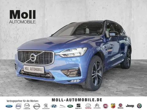 Annonce VOLVO XC60 Essence 2019 d'occasion 