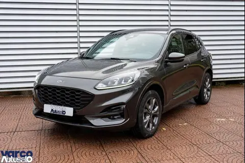 Used FORD KUGA Hybrid 2020 Ad 