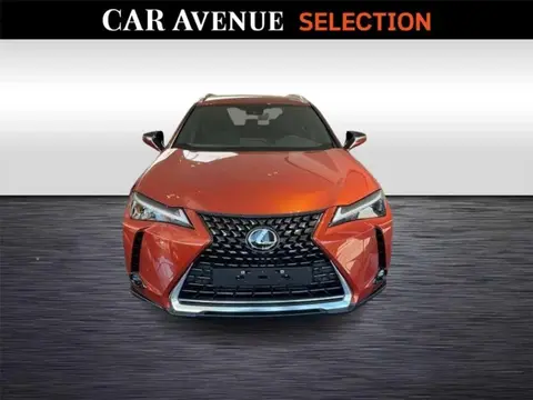 Used LEXUS UX Hybrid 2023 Ad 