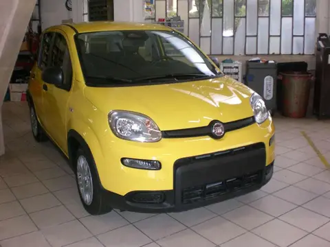 Used FIAT PANDA Hybrid 2024 Ad 