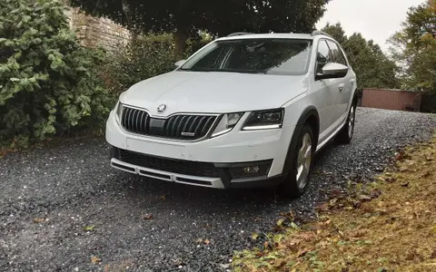 Used SKODA OCTAVIA Diesel 2020 Ad 