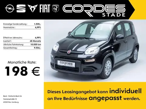 Used FIAT PANDA Hybrid 2024 Ad 