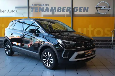 Annonce OPEL CROSSLAND Essence 2024 d'occasion 