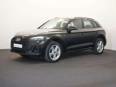 Used AUDI Q5 Petrol 2023 Ad 