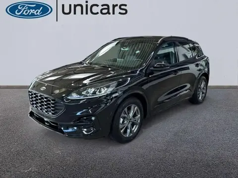 Used FORD KUGA Hybrid 2024 Ad 