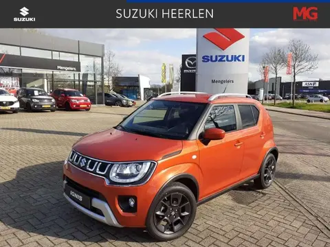 Used SUZUKI IGNIS Petrol 2024 Ad 