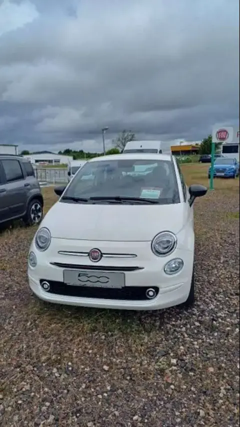 Used FIAT 500 Petrol 2024 Ad 