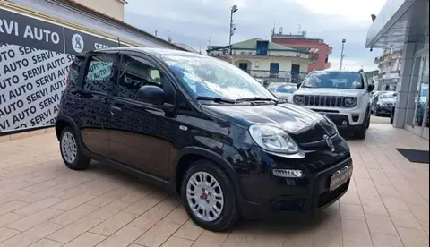 Annonce FIAT PANDA Hybride 2024 d'occasion 