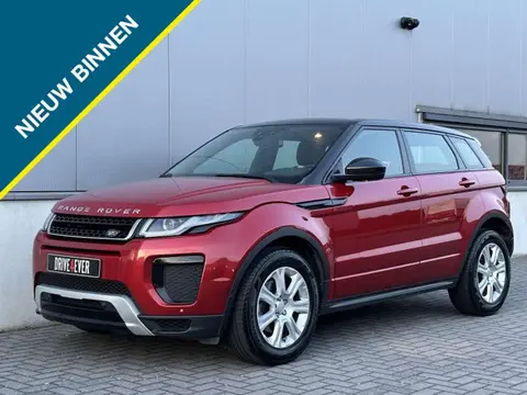 Used LAND ROVER RANGE ROVER EVOQUE Diesel 2018 Ad 