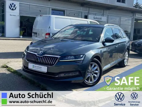 Annonce SKODA SUPERB Diesel 2019 d'occasion 