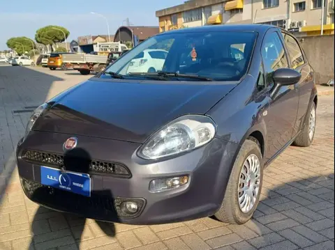 Used FIAT PUNTO Petrol 2016 Ad 