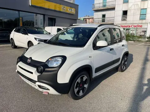 Used FIAT PANDA Hybrid 2024 Ad 