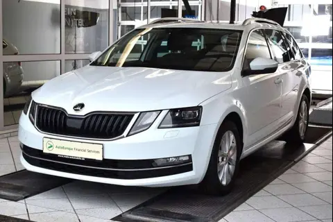 Used SKODA OCTAVIA Petrol 2019 Ad 