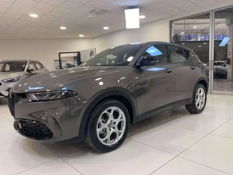 Used ALFA ROMEO TONALE Hybrid 2024 Ad 