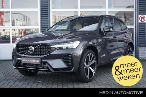 Annonce VOLVO XC60 Hybride 2024 d'occasion 