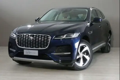 Annonce JAGUAR F-PACE Hybride 2021 d'occasion 