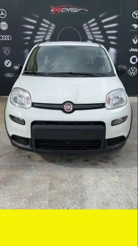 Annonce FIAT PANDA  2024 d'occasion 