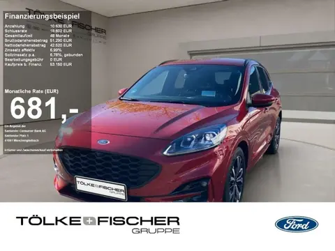 Annonce FORD KUGA Diesel 2024 d'occasion 