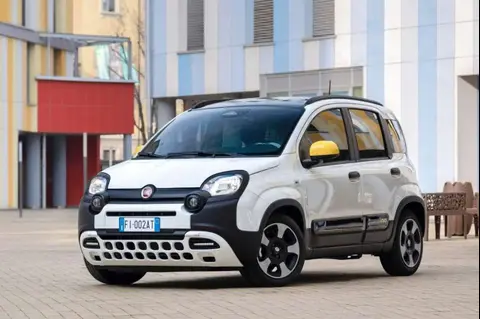 Used FIAT PANDA Hybrid 2024 Ad 