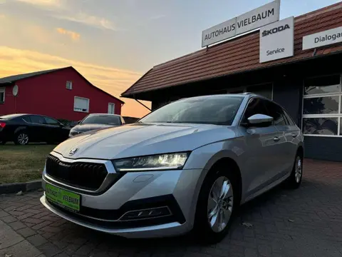 Annonce SKODA OCTAVIA Diesel 2020 d'occasion 