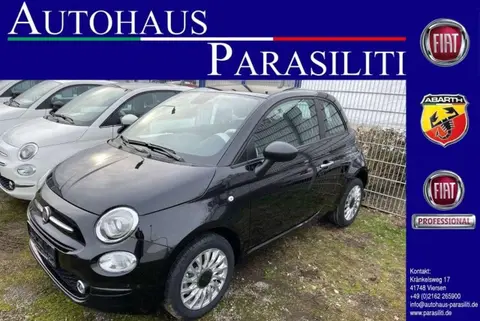 Used FIAT 500 Petrol 2024 Ad 