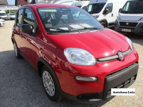 Annonce FIAT PANDA Essence 2024 d'occasion 