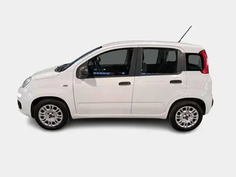 Used FIAT PANDA Petrol 2019 Ad 