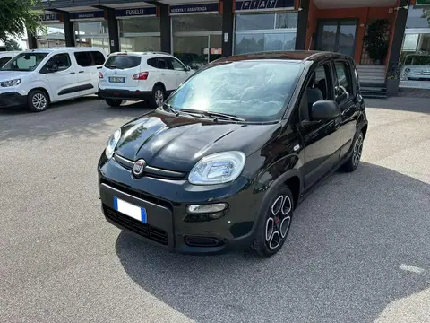 Used FIAT PANDA Hybrid 2022 Ad 