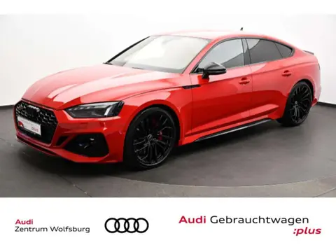 Used AUDI RS5 Petrol 2023 Ad 