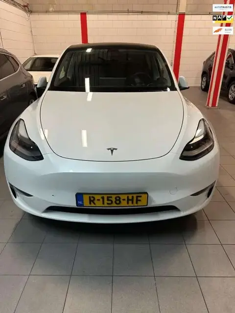 Used TESLA MODEL Y Electric 2021 Ad 