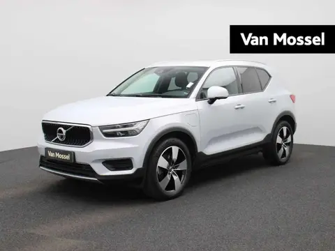 Annonce VOLVO XC40 Hybride 2020 d'occasion 