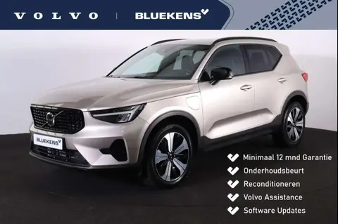 Annonce VOLVO XC40 Hybride 2022 d'occasion 