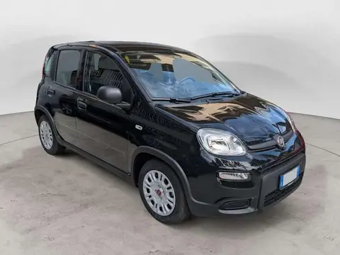 Used FIAT PANDA Hybrid 2023 Ad 