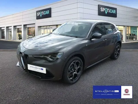 Annonce ALFA ROMEO STELVIO Essence 2023 d'occasion 