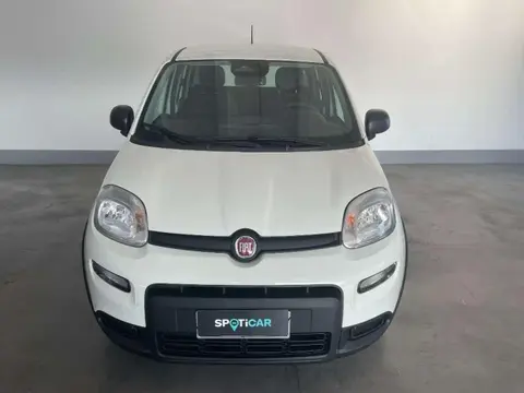 Used FIAT PANDA Petrol 2024 Ad 