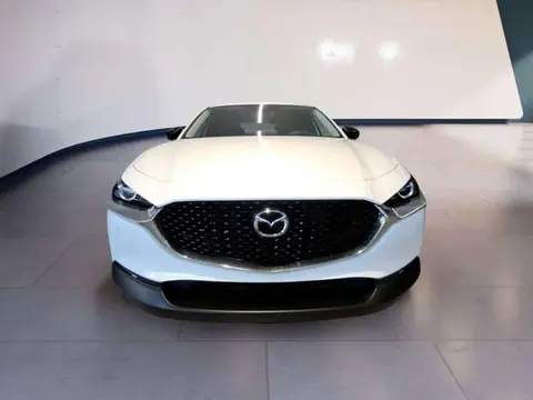 Annonce MAZDA CX-30 Hybride 2024 d'occasion 