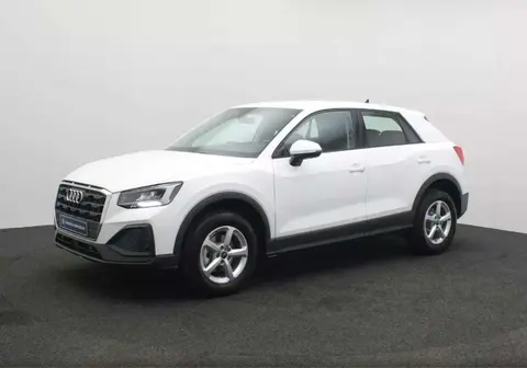 Annonce AUDI Q2 Essence 2024 d'occasion 