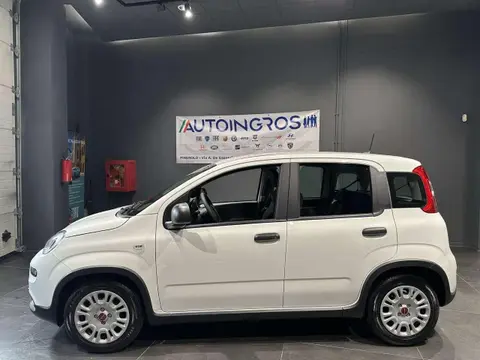 Used FIAT PANDA Hybrid 2024 Ad 