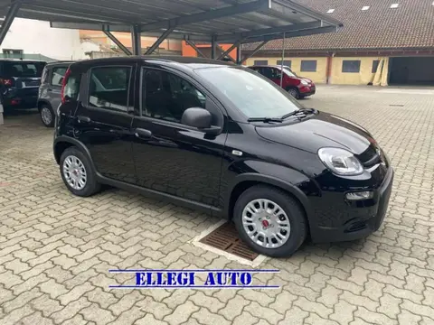 Annonce FIAT PANDA Hybride 2024 d'occasion 