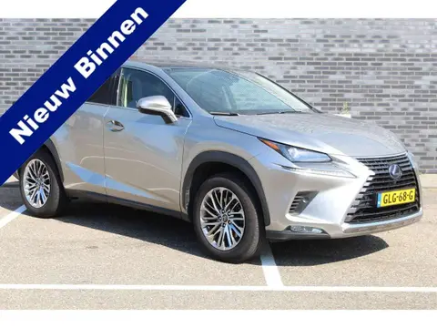 Used LEXUS NX Hybrid 2021 Ad 