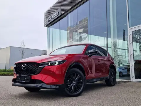 Annonce MAZDA CX-5 Hybride 2024 d'occasion 