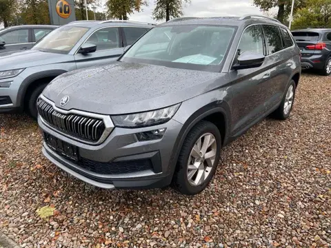 Used SKODA KODIAQ Diesel 2023 Ad 