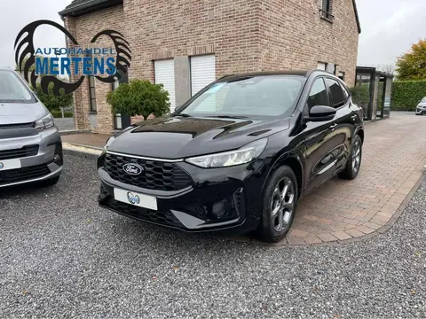 Used FORD KUGA Petrol 2024 Ad 