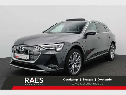 Used AUDI E-TRON Electric 2022 Ad 