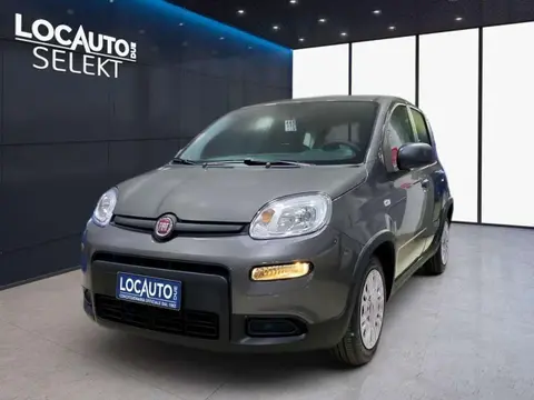 Annonce FIAT PANDA Hybride 2022 d'occasion 