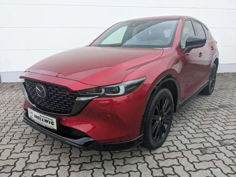 Used MAZDA CX-5 Petrol 2023 Ad 