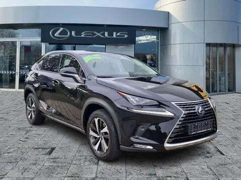 Used LEXUS NX Hybrid 2019 Ad 