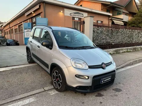 Used FIAT PANDA Hybrid 2021 Ad 