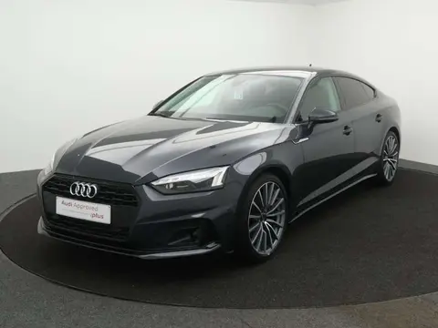 Used AUDI A5 Diesel 2023 Ad 