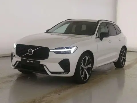 Annonce VOLVO XC60 Essence 2024 d'occasion 